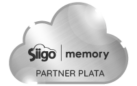 Memory-partners-plata